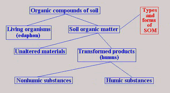 What Is The Meaning Of Organic Matter